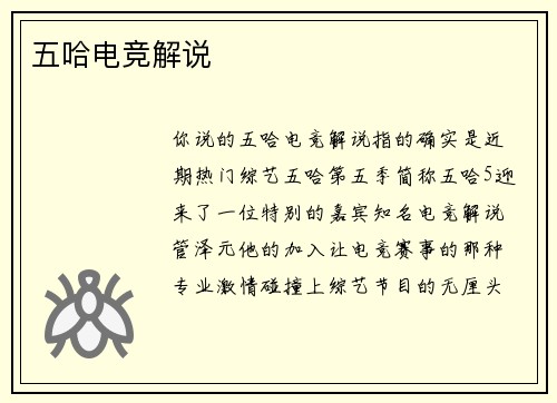 五哈电竞解说